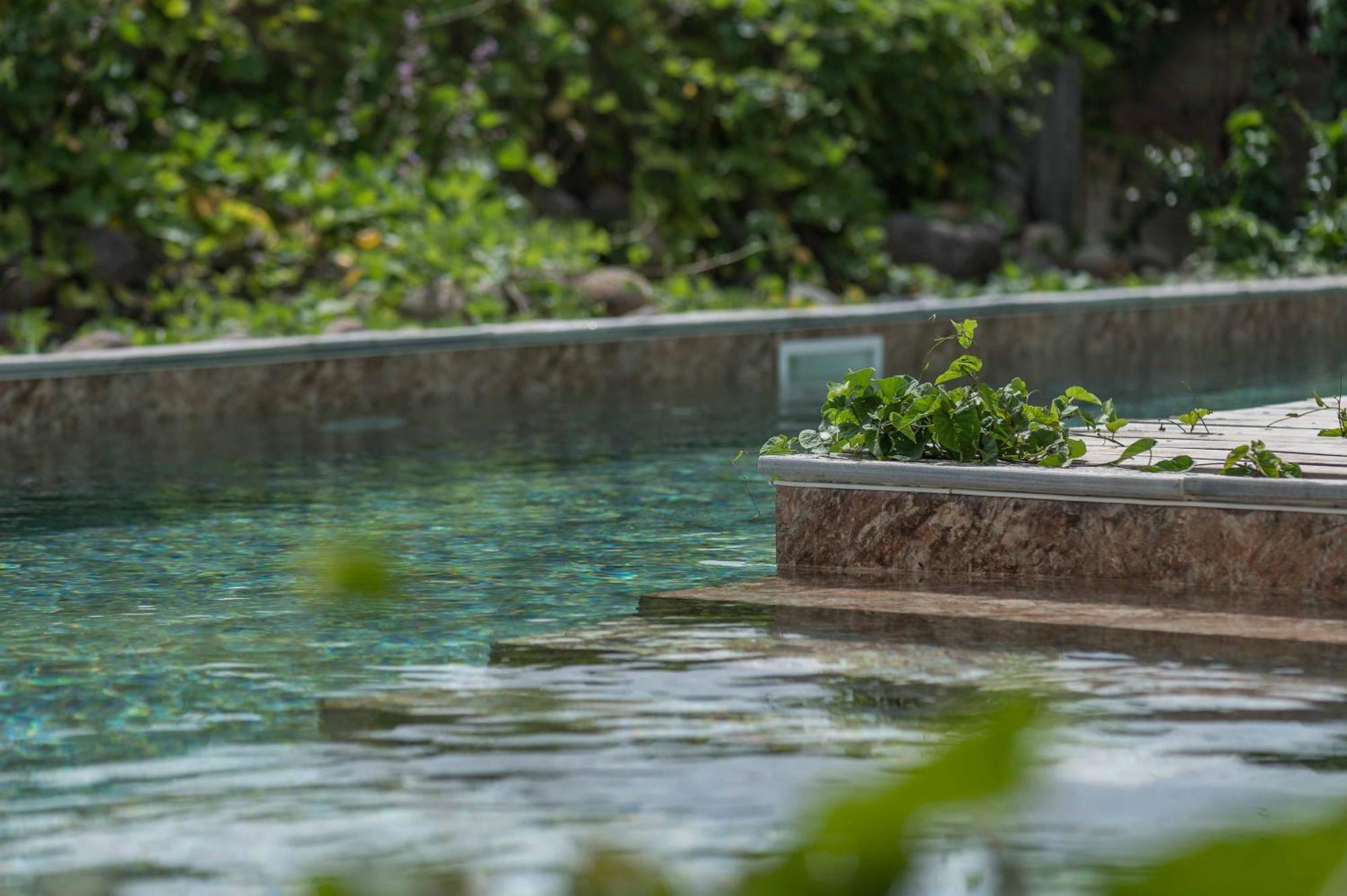 T2 Moderne Avec Piscine Oasis De Nature Et Serenite Petit-Canal Екстериор снимка